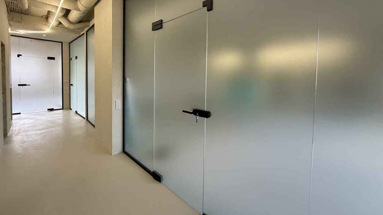 Стеклянные двери - проект 10