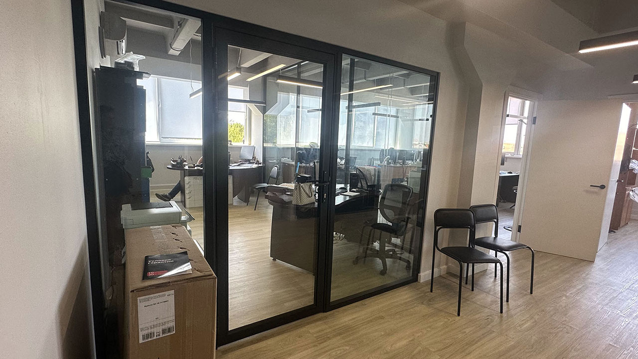 Стеклянные двери - проект 18